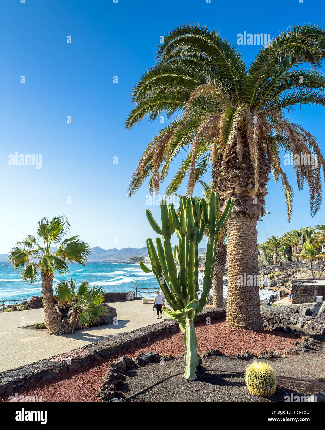 Puerto del Carmen, Spanien - 29. Dezember 2016: Tag der Blick auf die Strandpromenade mit Palmen und die Küste von Puerto del Carmen, Spanien. Puerto del Carmen ist das mai Stockfoto