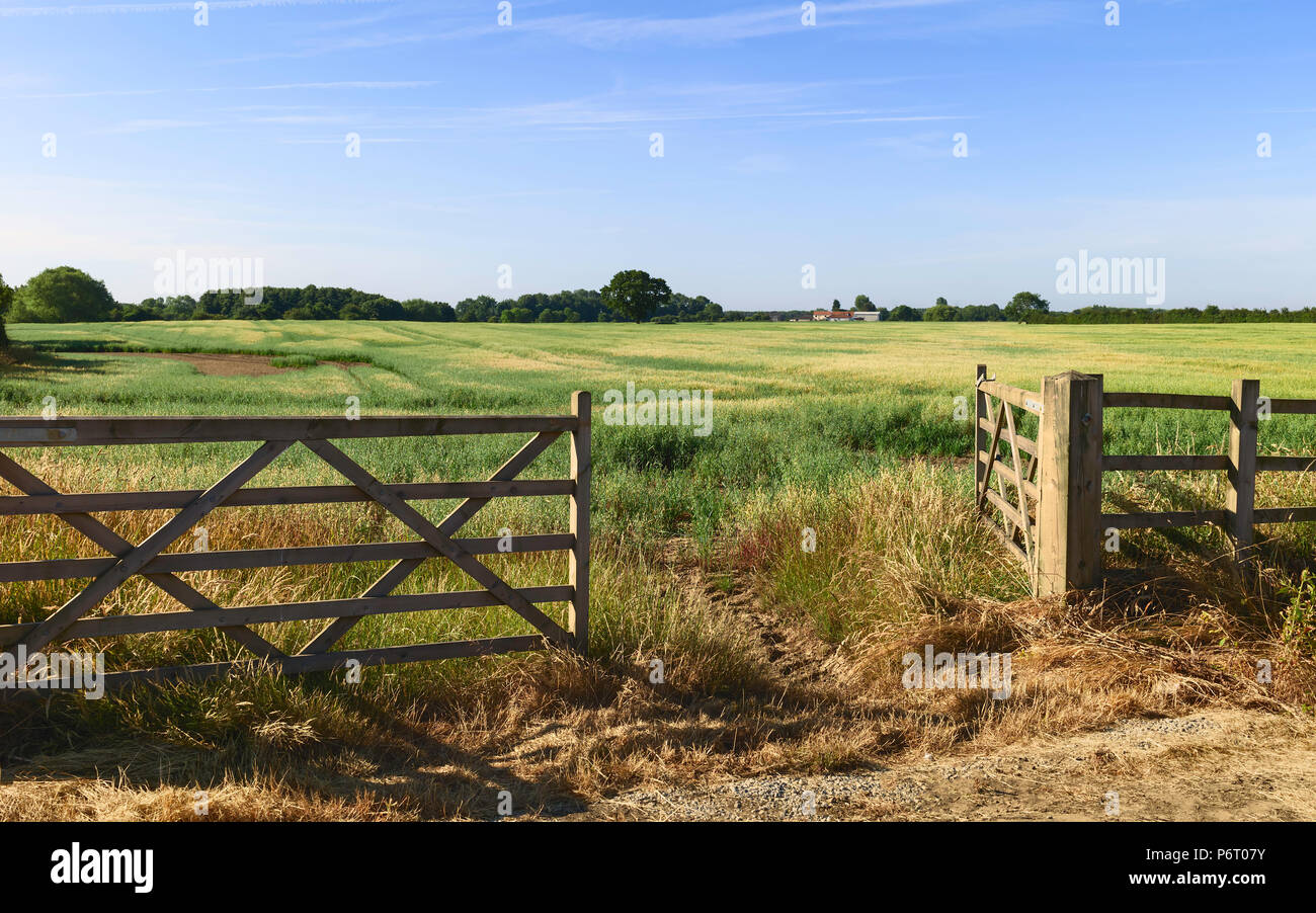Bauernhof in landwirtschaftliche Landschaft mit Getreideernte im Sommer reifen in Beverley, Yorkshire, UK Open. Stockfoto