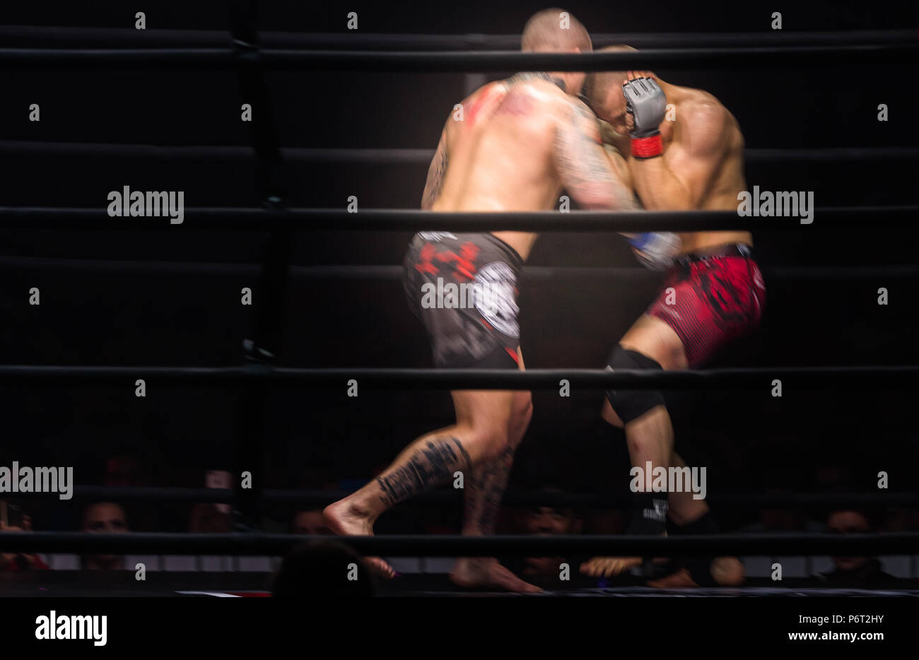 MMA Kämpfer Boxer kämpfen in Kämpfe ohne Regeln im Ring Stockfoto