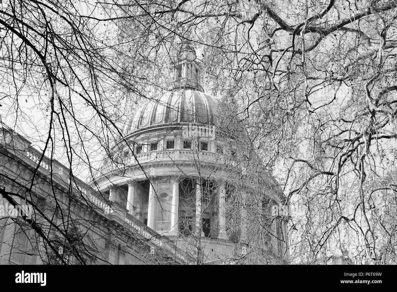 Der Blick auf die Kuppel von St. Paul's Cathedral in London durch die blattlosen Zweige Stockfoto