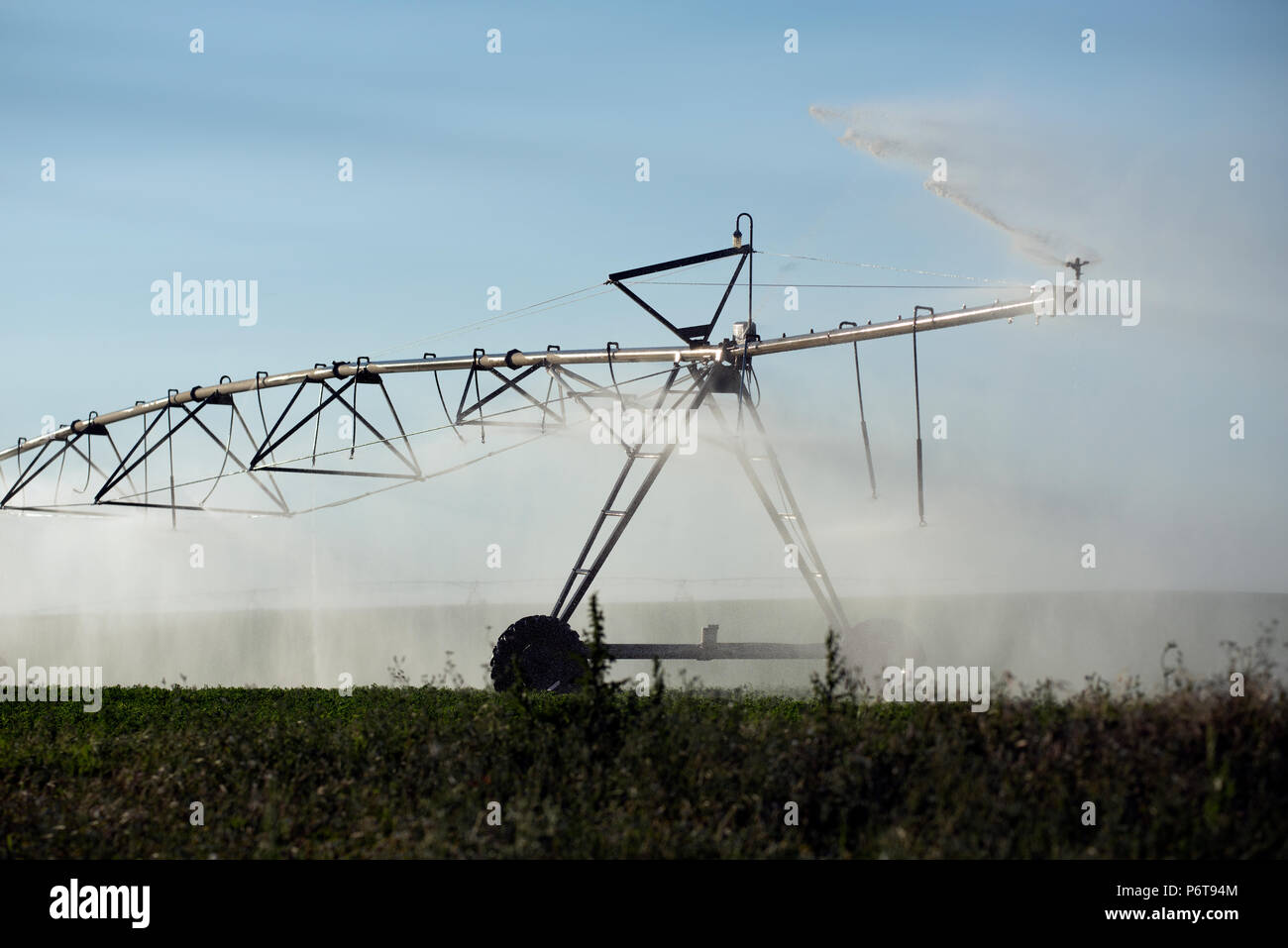 Automatische Bewässerungsanlage Sprinkler, extensive Landwirtschaft, Fruchtarten Stockfoto