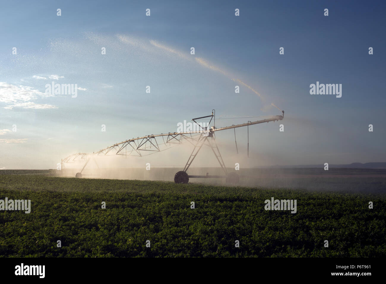 Automatische Bewässerungsanlage Sprinkler, extensive Landwirtschaft, Fruchtarten Stockfoto