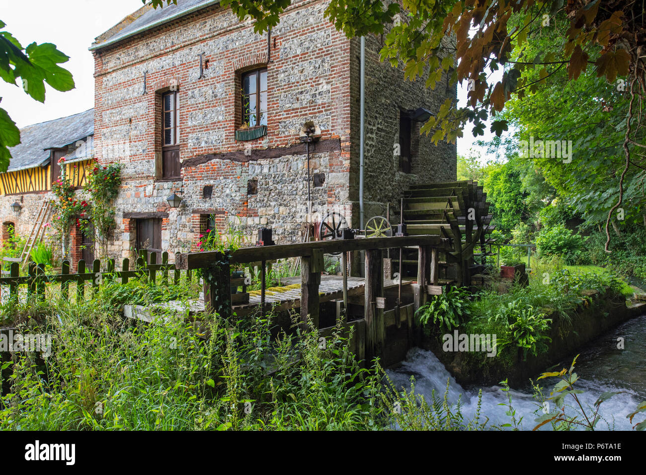 Moulin des Aïeux, 18. Jahrhundert Wassermühle/Wassermühle auf dem Fluss Veules in Veules-les-Roses, Seine-Maritime, Côte d'Albâtre, Normandie, Frankreich Stockfoto