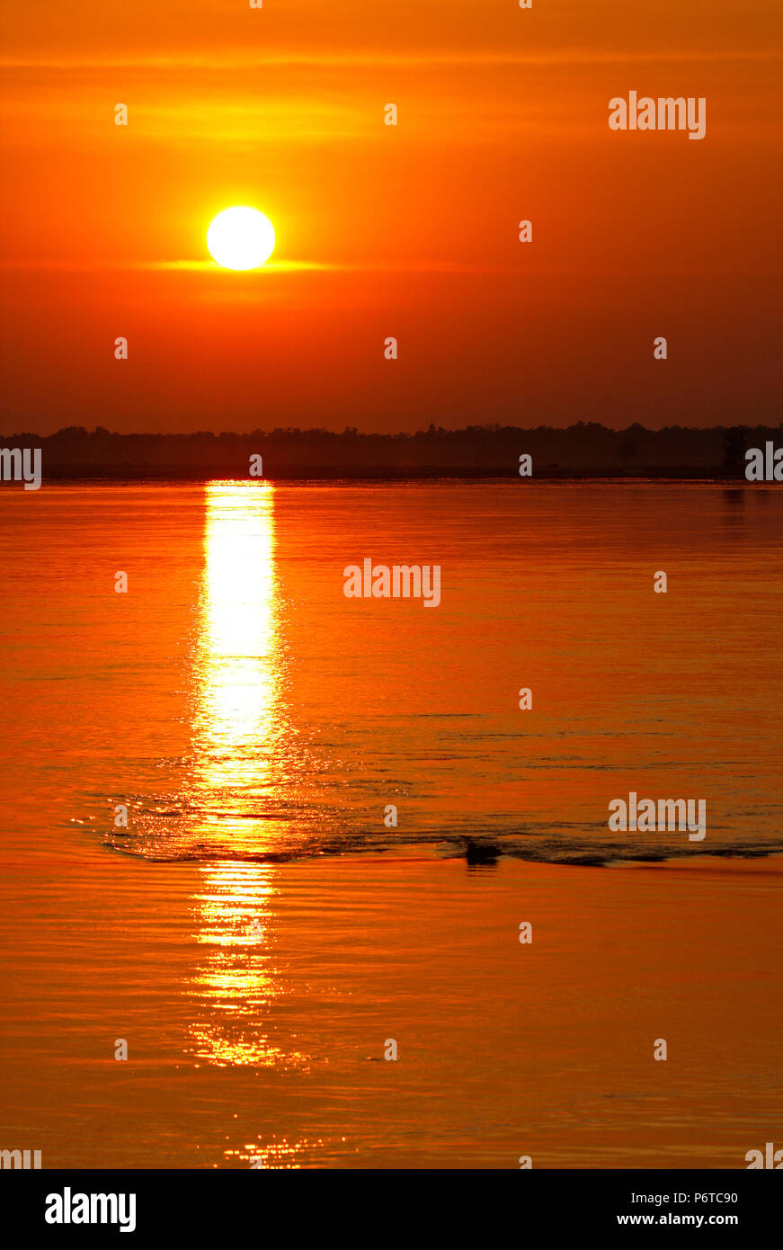 Sambesi, Mana Pools National Park. Zimbabwe Stockfoto