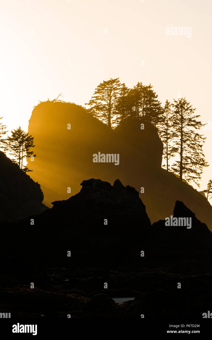 Punkt der Bögen Felsen bei Sonnenuntergang, von Shi Shi Strand entlang des Pazifischen Ozeans in Olympic National Park, Washington State, USA gesehen Stockfoto