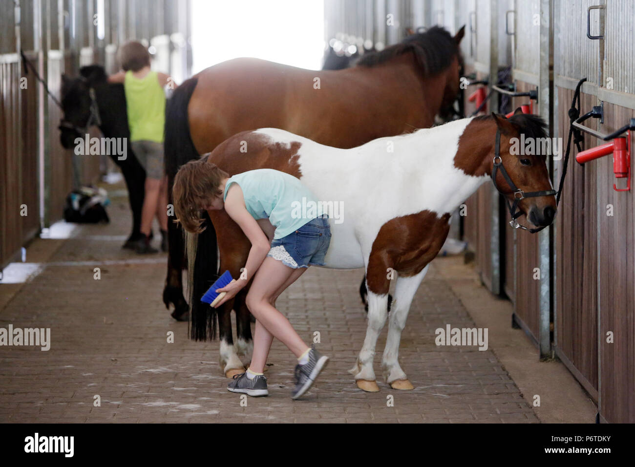 Oberoderwitz, Mädchen sauber ihre Ponys auf der Stallgasse Stockfoto