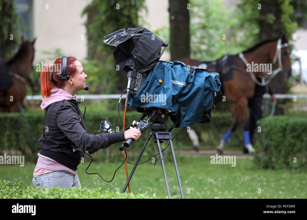 Dresden, kamerafrau Filme die Pferde im Fuehrring Stockfoto