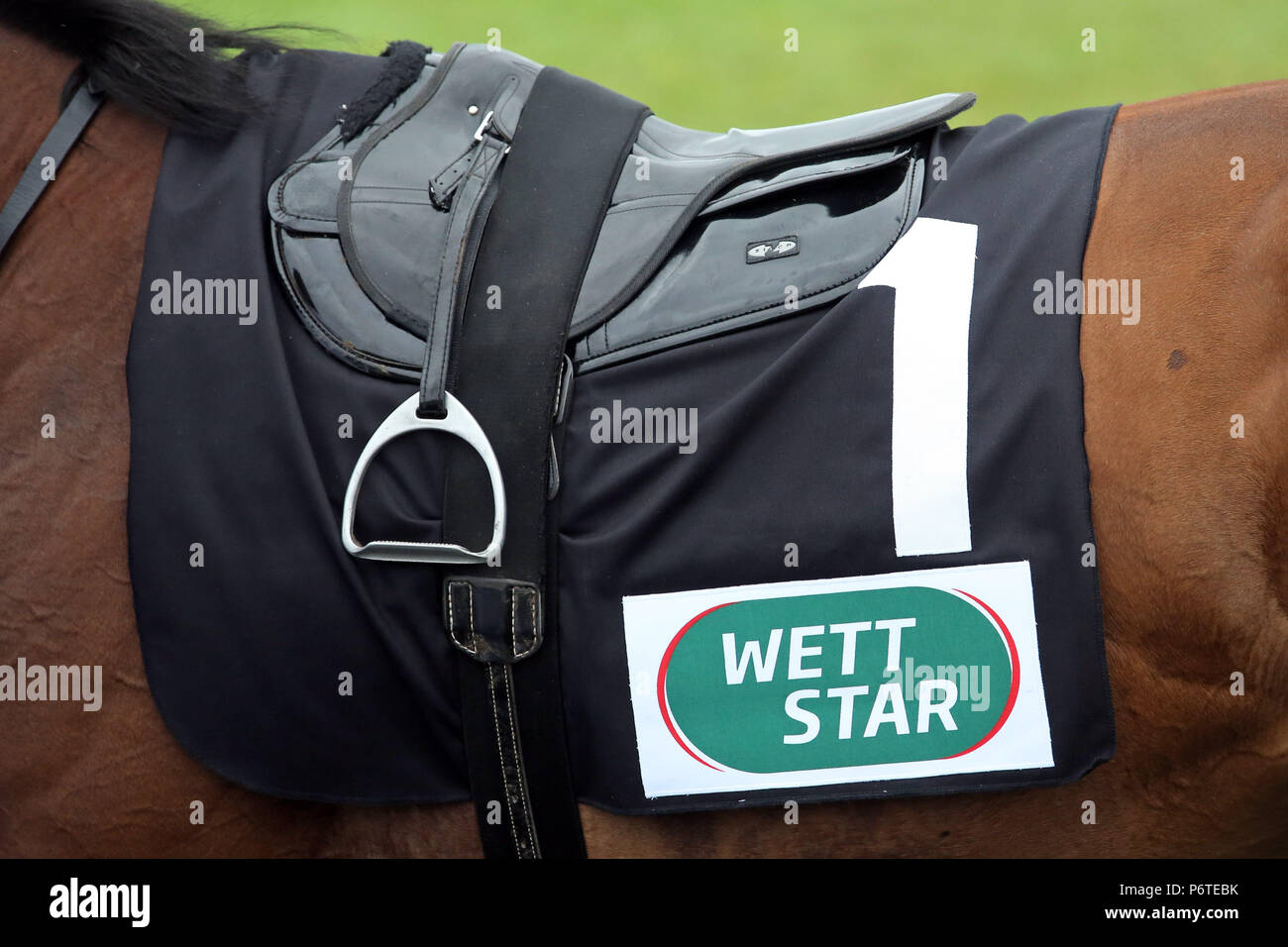 Hamburg, Nummernschild mit der Aufschrift Wett Star Stockfoto