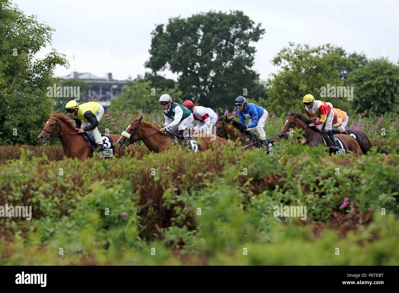 Hamburg, Pferde und Jockeys im Rennen in den Rücken gerade Stockfoto