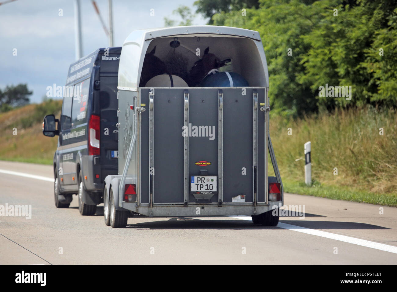 Hamburg, Kleinbus mit Pferd Anhänger auf der Autobahn Stockfoto