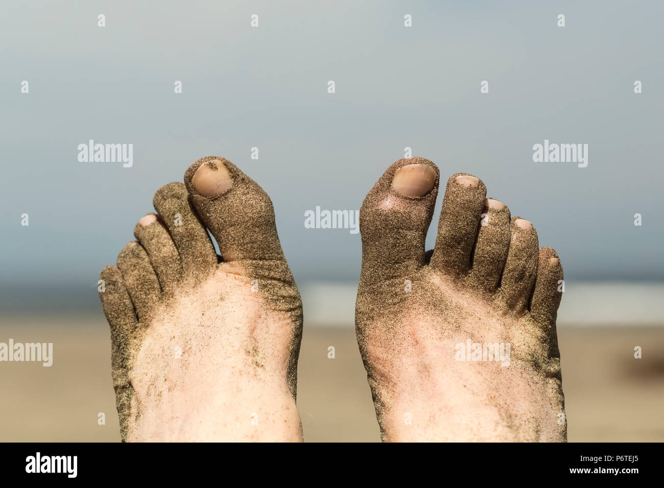 Auf Shi Shi Strand entlang des Pazifischen Ozeans in Olympic National Park, Washington State, USA Stockfoto