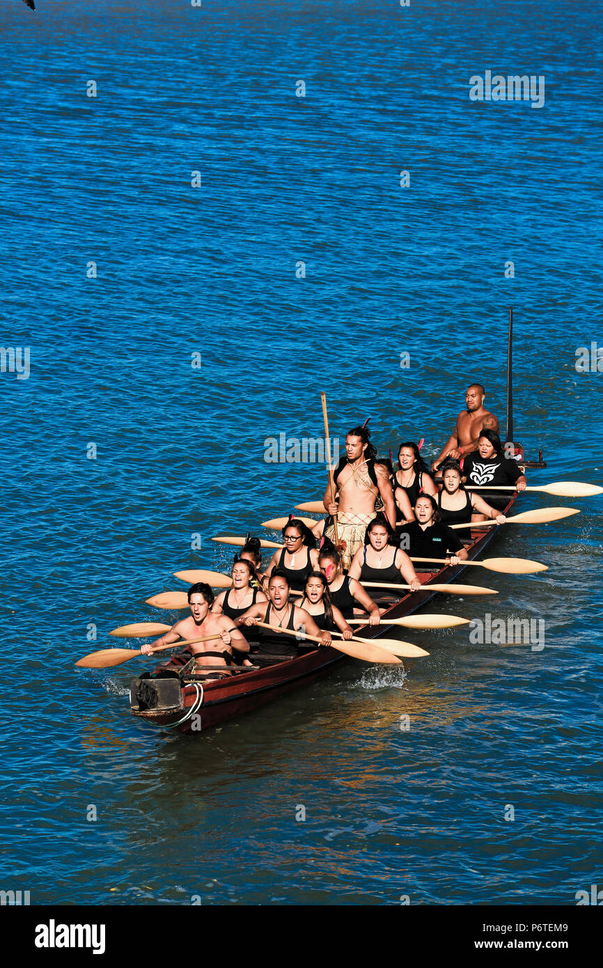 Maori Männer und Frauen paddeln traditionellen Waka (Kanu) in Waitangi, Neuseeland Stockfoto