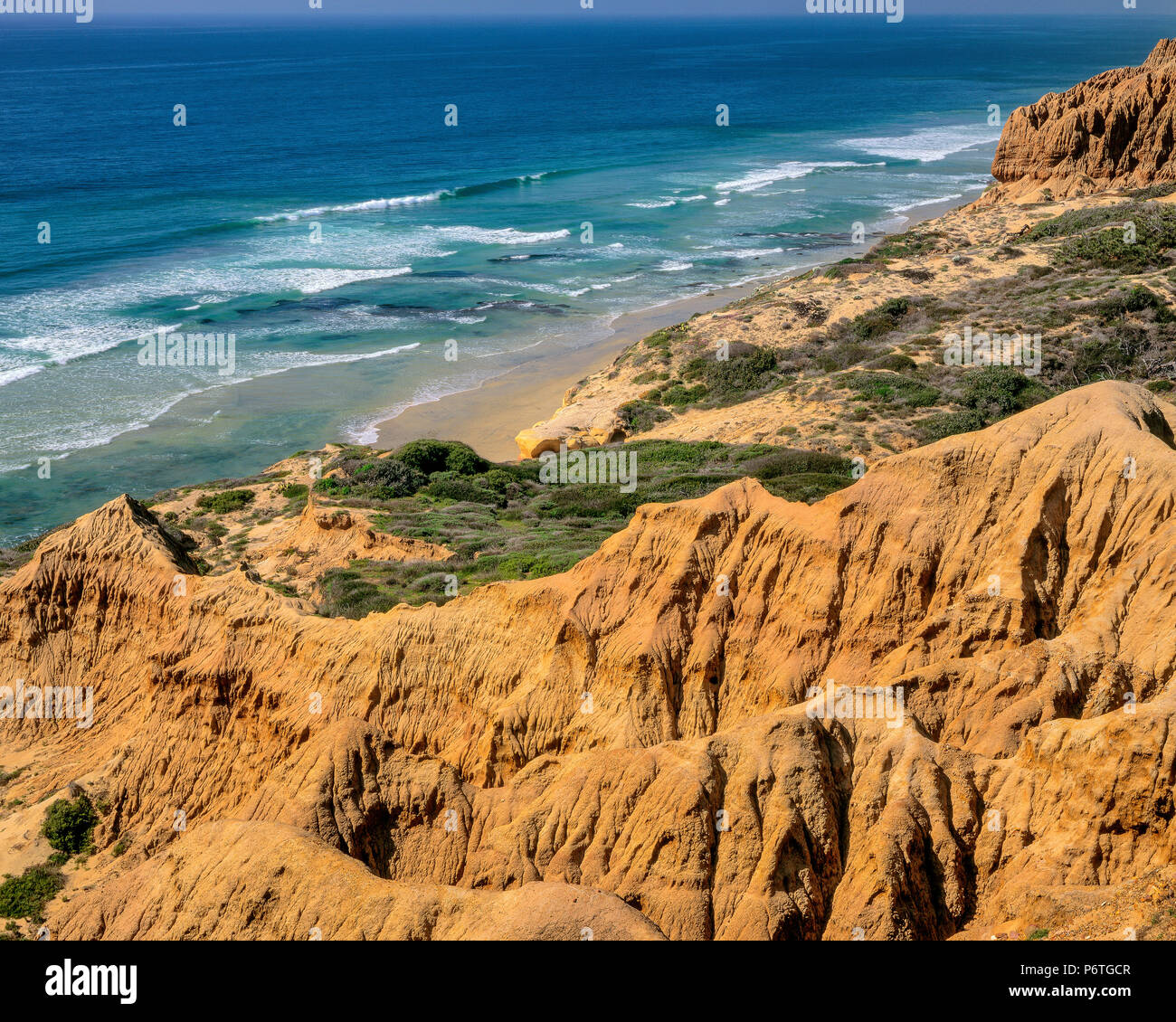 Sandsteinfelsen, Torrey Pines State Beach und State Reserve, La Jolla, San Diego County, Kalifornien Stockfoto