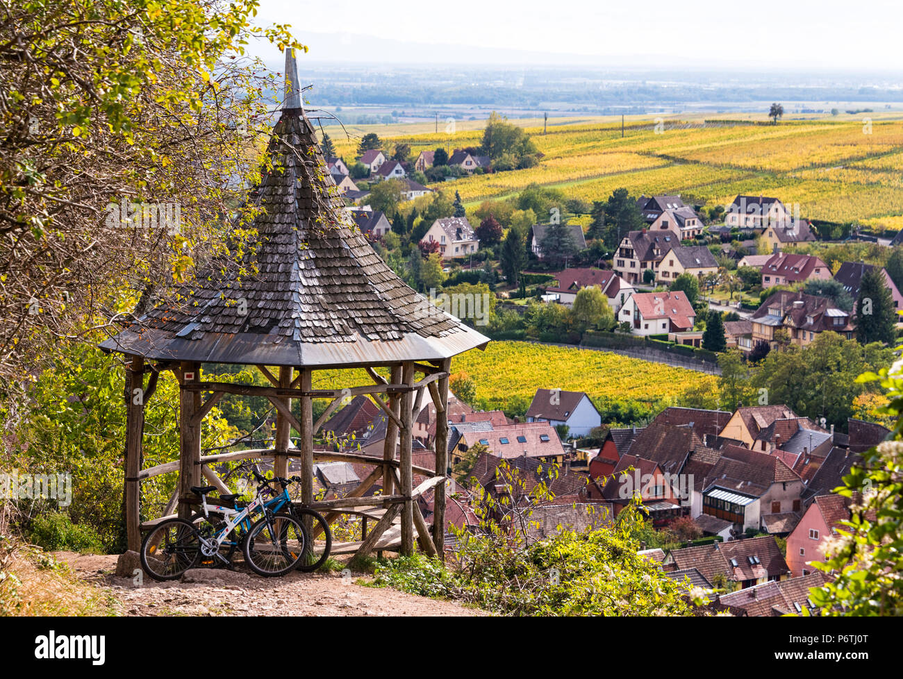 Ein Blick in Richtung Ribeauville und die Weinberge, die elsässische Weinstraße, Frankreich Stockfoto