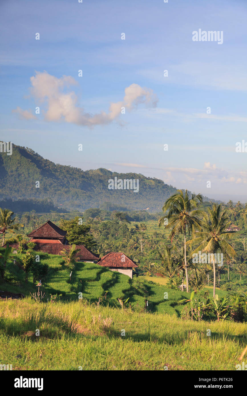 Indonesien, Bali, Sidemen Reisterrassen und Berglandschaft Stockfoto