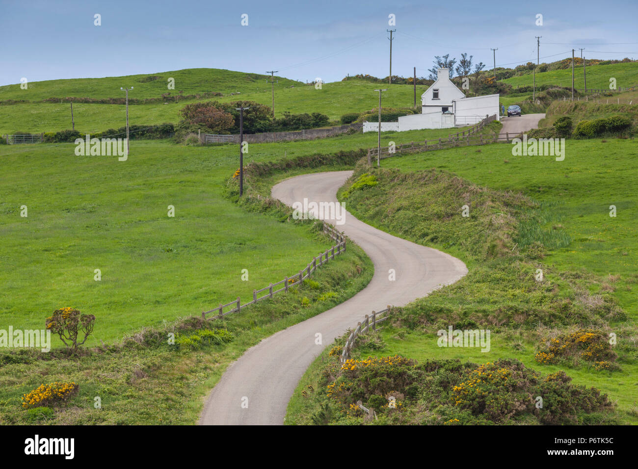 Irland, County Cork, Halbinsel Beara, Ring of Beara, Monistrol de Montserrat, Erhöhte Ansicht der Landschaft mit Country Road Stockfoto