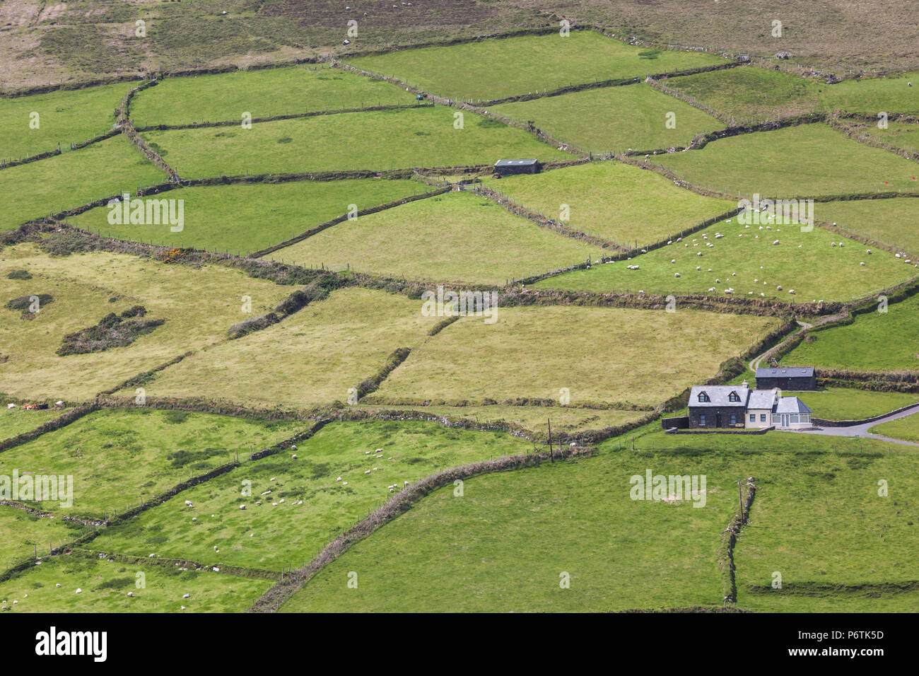 Irland, County Cork, Halbinsel Beara, Ring of Beara, Monistrol de Montserrat, Landschaft Stockfoto