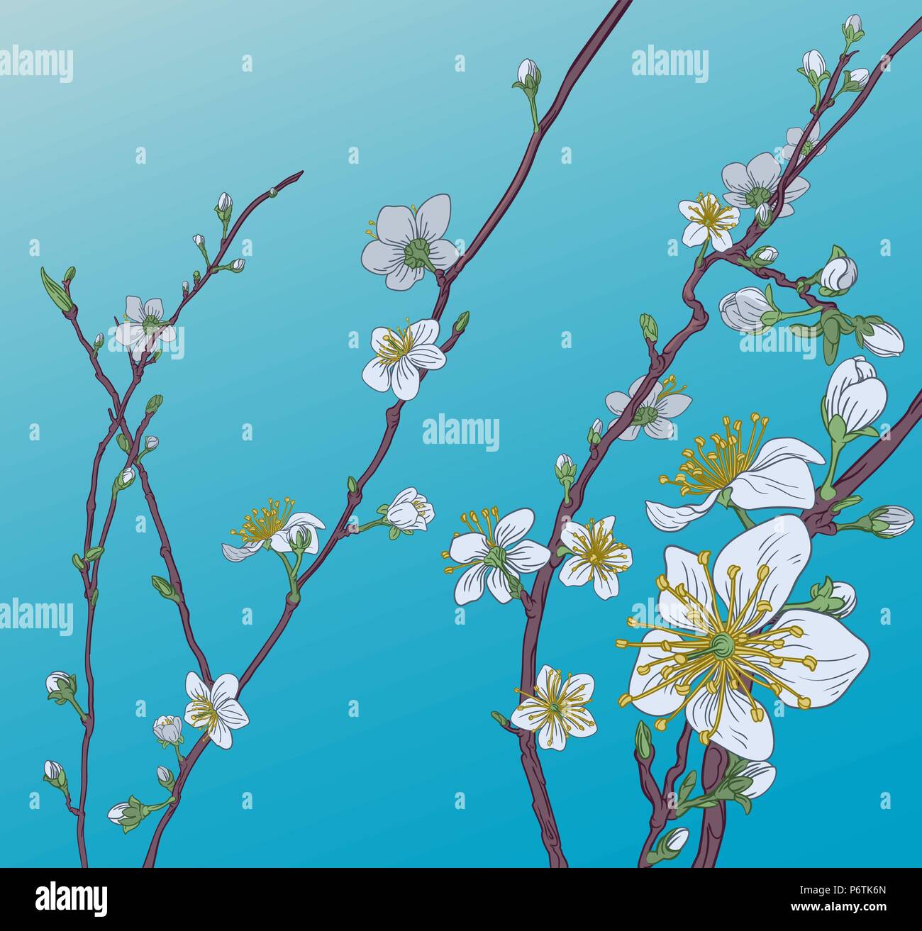 Cherry Peach Blossom Flowers Background Pattern Stock Vektor