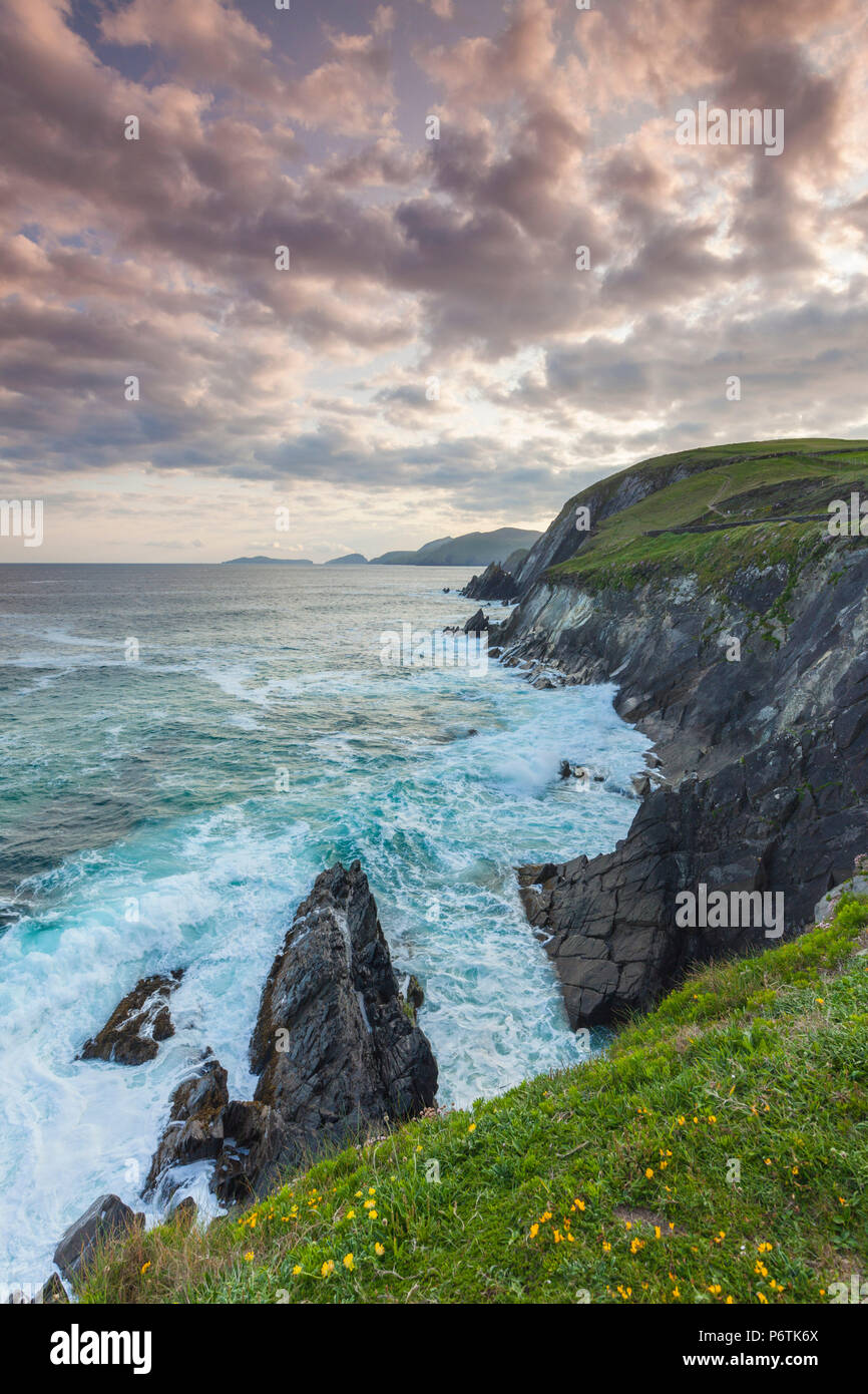 Irland, County Kerry, Dingle Halbinsel, Slea Head Drive Dunquin, Landschaft, Dämmerung Stockfoto