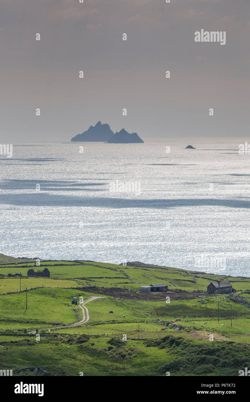 Irland, County Kerry, Ring of Kerry, Küstenlandschaft entlang des westlichen Ufers der Kerry-Halbinsel Stockfoto