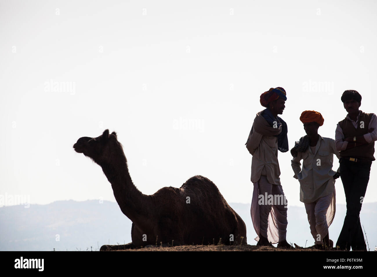 Indien, Rajasthan., Pushkar, Kamel Händlern an den Pushkar Camel Fair chatten Stockfoto