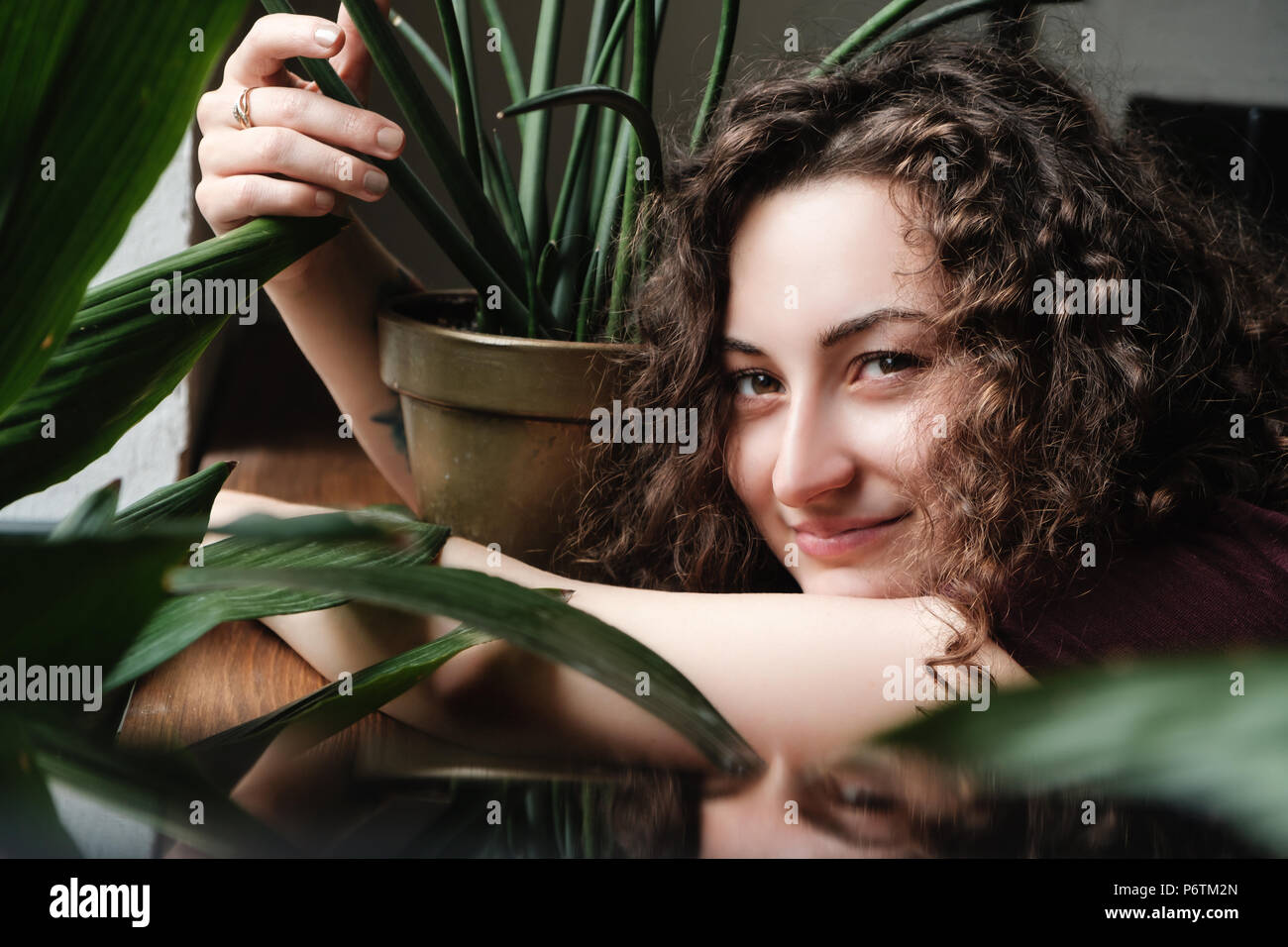 Schöne junge brünette Mädchen mit einer grünen Pflanze im Topf Stockfoto