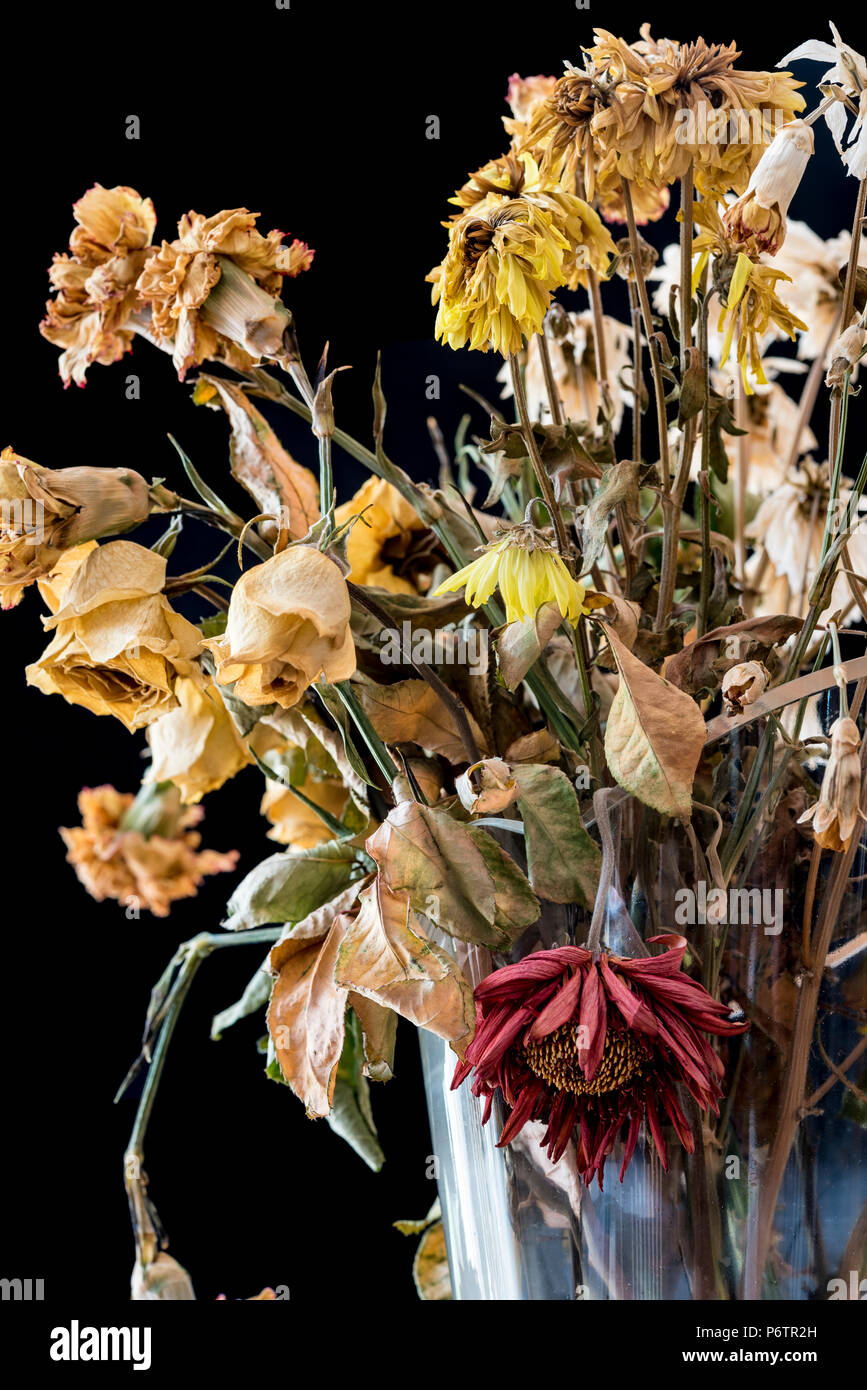 Vase von toten und verwesenden Blumen. Die Gefühle der Einsamkeit, Trauer, Depression und Verlust des Lebens. Stockfoto