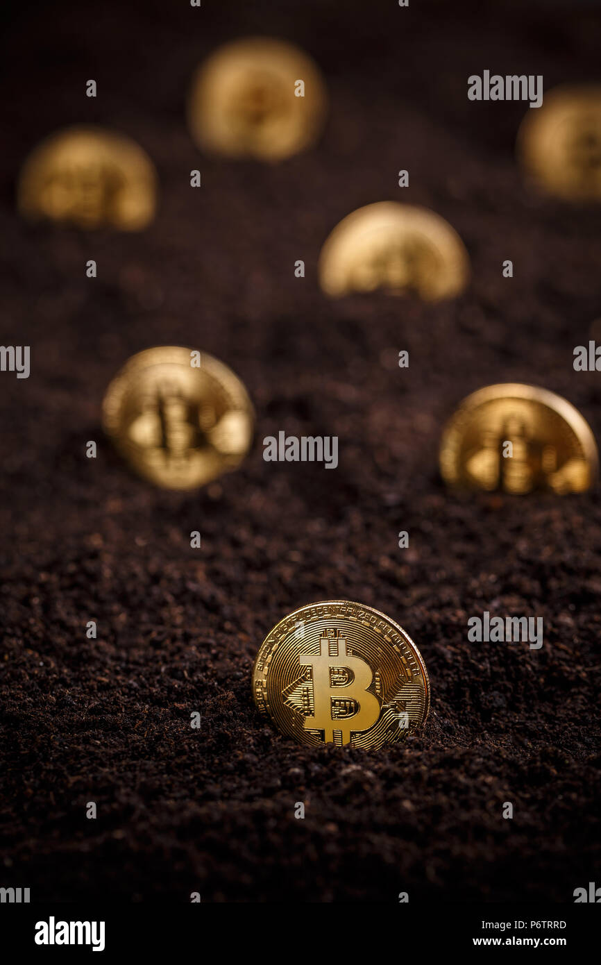 Golden bitcoin im Boden verborgen Stockfoto