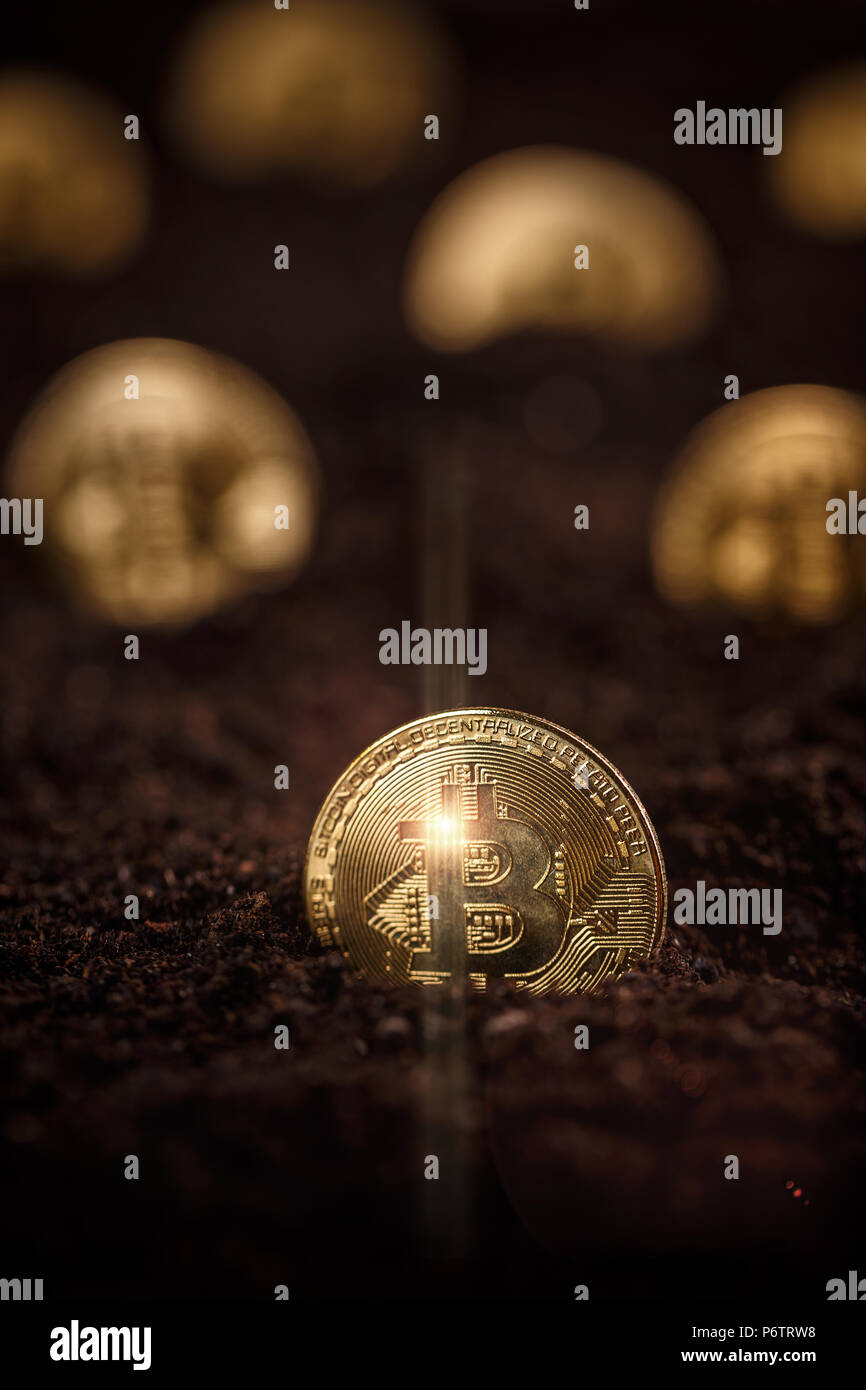 Bitcoin Bergbau und cryptocurrency Konzept mit einer goldenen Medaille im Boden Stockfoto