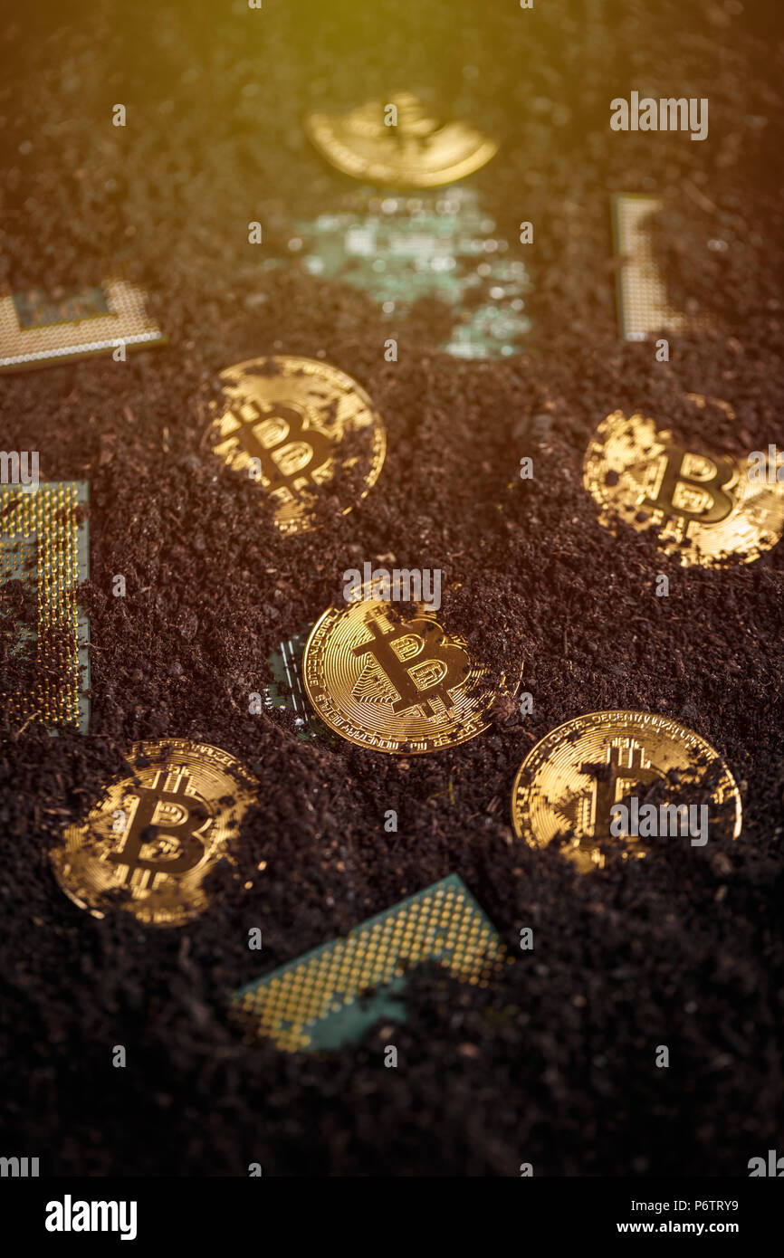 Golden bitcoin mit Prozessor im Boden verborgen Stockfoto