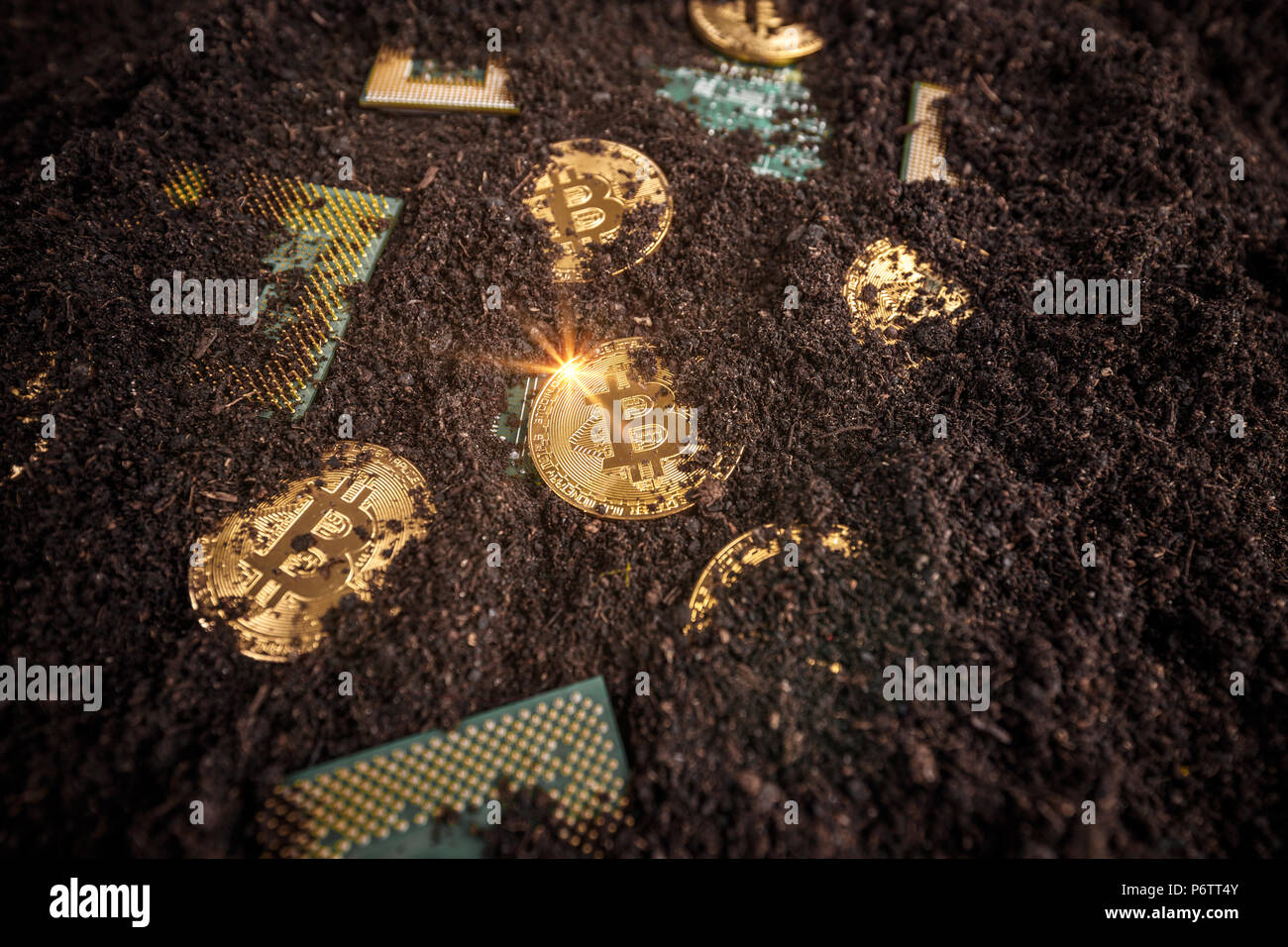 Bergbau Golden Bitcoins, glänzende Münze bitcoin mit Prozessor im Boden Stockfoto