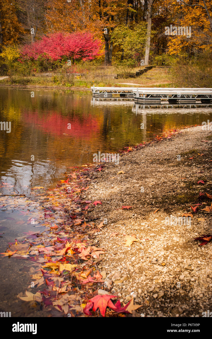 Boot Dock Reflexionen im Herbst, Stadtpark, Eagle Creek Park, Indianapolis, IN Stockfoto