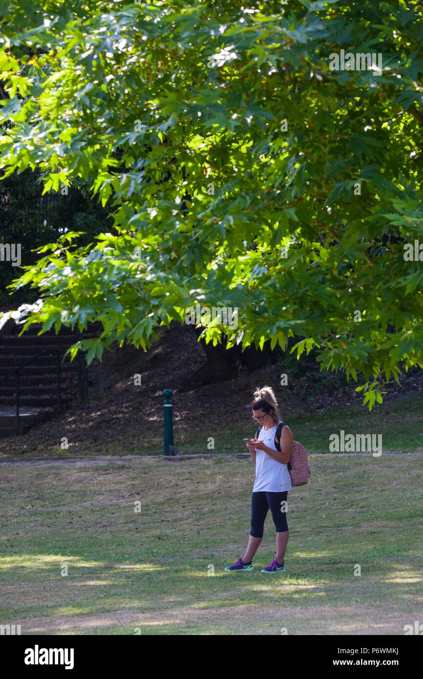 Hastings, East Sussex, UK. 3 Jul, 2018. UK Wetter: heiß und sonnig, Start in den Tag in Hastings mit vielen Menschen zu Fuß in Alexandra Park, gestaltet von dem berühmten Gärtner Robert Marnock im Jahr 1878. Mit 109 Hektar ist es ein Klasse 2 bezeichneten Ort. Es wird erwartet, dass die Temperaturen auf 21°C überschreitet. Diese Frau sieht Ihr Telefon im Schatten von einem der vielen Bäume im Park. Foto: Paul Lawrenson/Alamy leben Nachrichten Stockfoto
