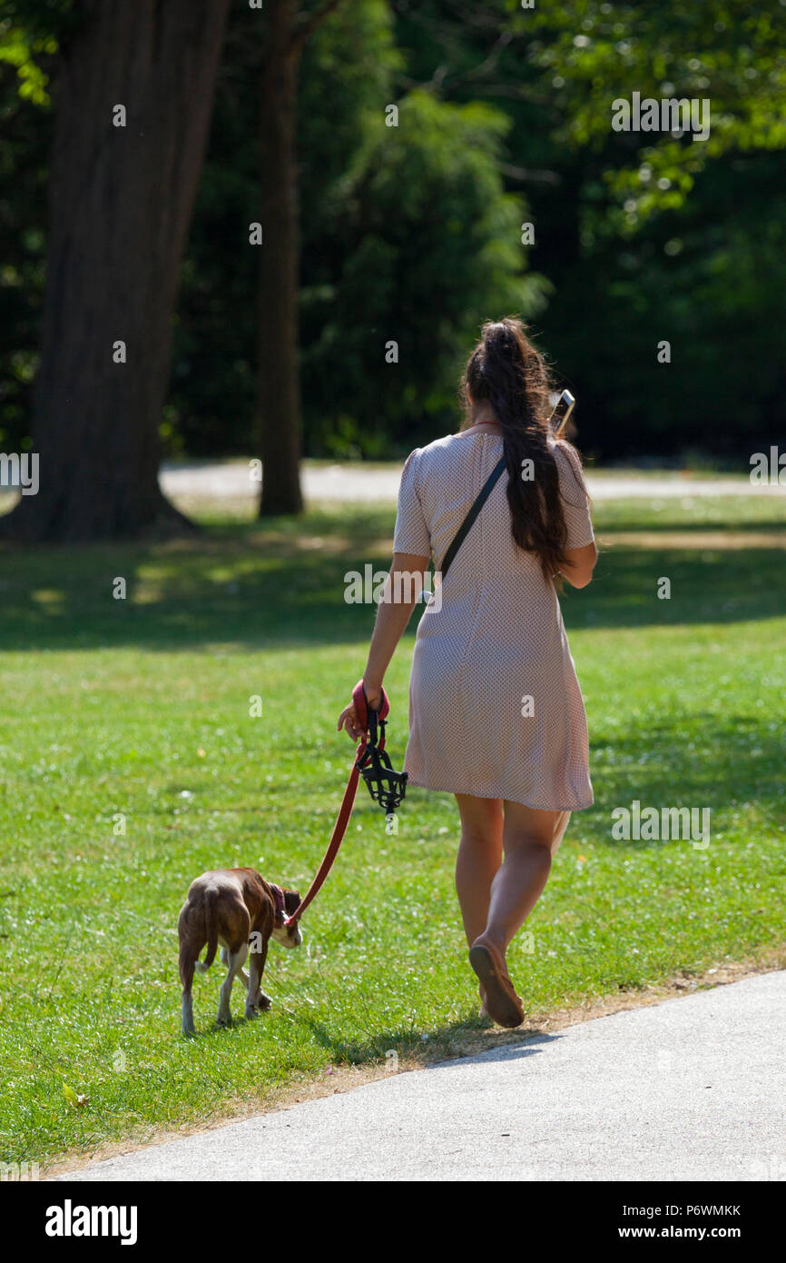 Hastings, East Sussex, UK. 3 Jul, 2018. UK Wetter: heiß und sonnig, Start in den Tag in Hastings mit vielen Menschen zu Fuß in Alexandra Park, gestaltet von dem berühmten Gärtner Robert Marnock im Jahr 1878. Mit 109 Hektar ist es ein Klasse 2 bezeichneten Ort. Es wird erwartet, dass die Temperaturen auf 21°C überschreitet. Frau gehen mit Ihrem Hund an der Leine im Park. Foto: Paul Lawrenson/Alamy leben Nachrichten Stockfoto