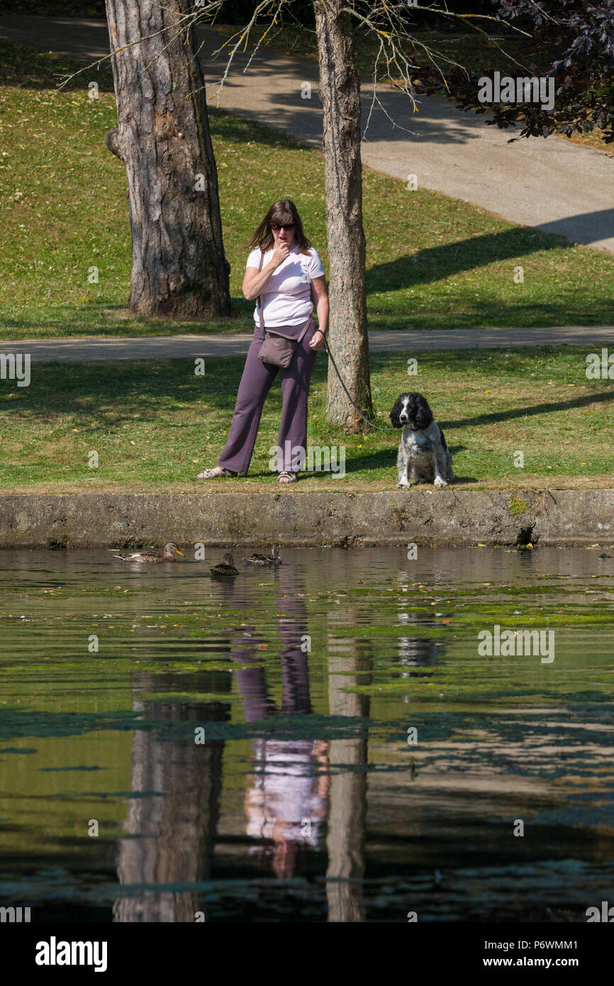 Hastings, East Sussex, UK. 3 Jul, 2018. UK Wetter: heiß und sonnig, Start in den Tag in Hastings mit vielen Menschen zu Fuß in Alexandra Park, gestaltet von dem berühmten Gärtner Robert Marnock im Jahr 1878. Mit 109 Hektar ist es ein Klasse 2 bezeichneten Ort. Es wird erwartet, dass die Temperaturen auf 21°C überschreitet. Diese womans Hund nimmt das Interesse für Vögel sitzen auf dem Teich, deren Reflexionen im Wasser gesehen werden. Foto: Paul Lawrenson/Alamy leben Nachrichten Stockfoto