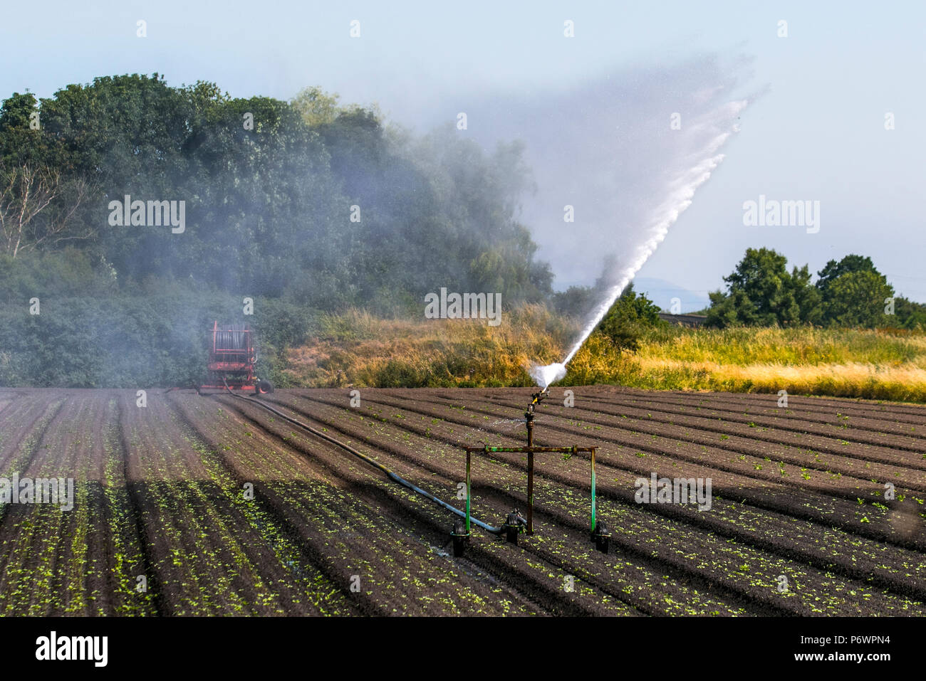 Burscough, Lancashire. UK Wetter. 03.07.2018. Kreis Bewässerung, oder Center - pivot Bewässerung mit Landwirten Bewässerung geröstete ernten und neu bepflanzt. Wasser aus dem nahe gelegenen Leeds Liverpool canal geliefert und an die Feldspritze mit einem Traktor gepumpt. Credit: MediaWorldImages/AlamyLiveNews. Stockfoto