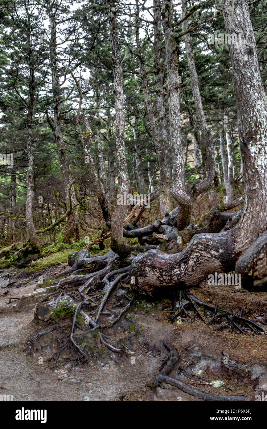 Juneau, Alaska, USA, Montag, 21. Mai 2018. Stockfoto