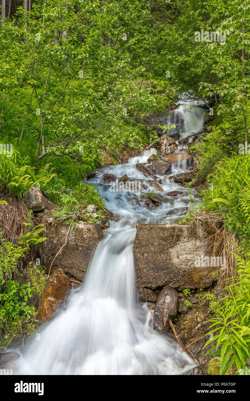 Kleiner Wasserfall in der Nähe von St. Nikolaus, Ultental, Südtirol Stockfoto