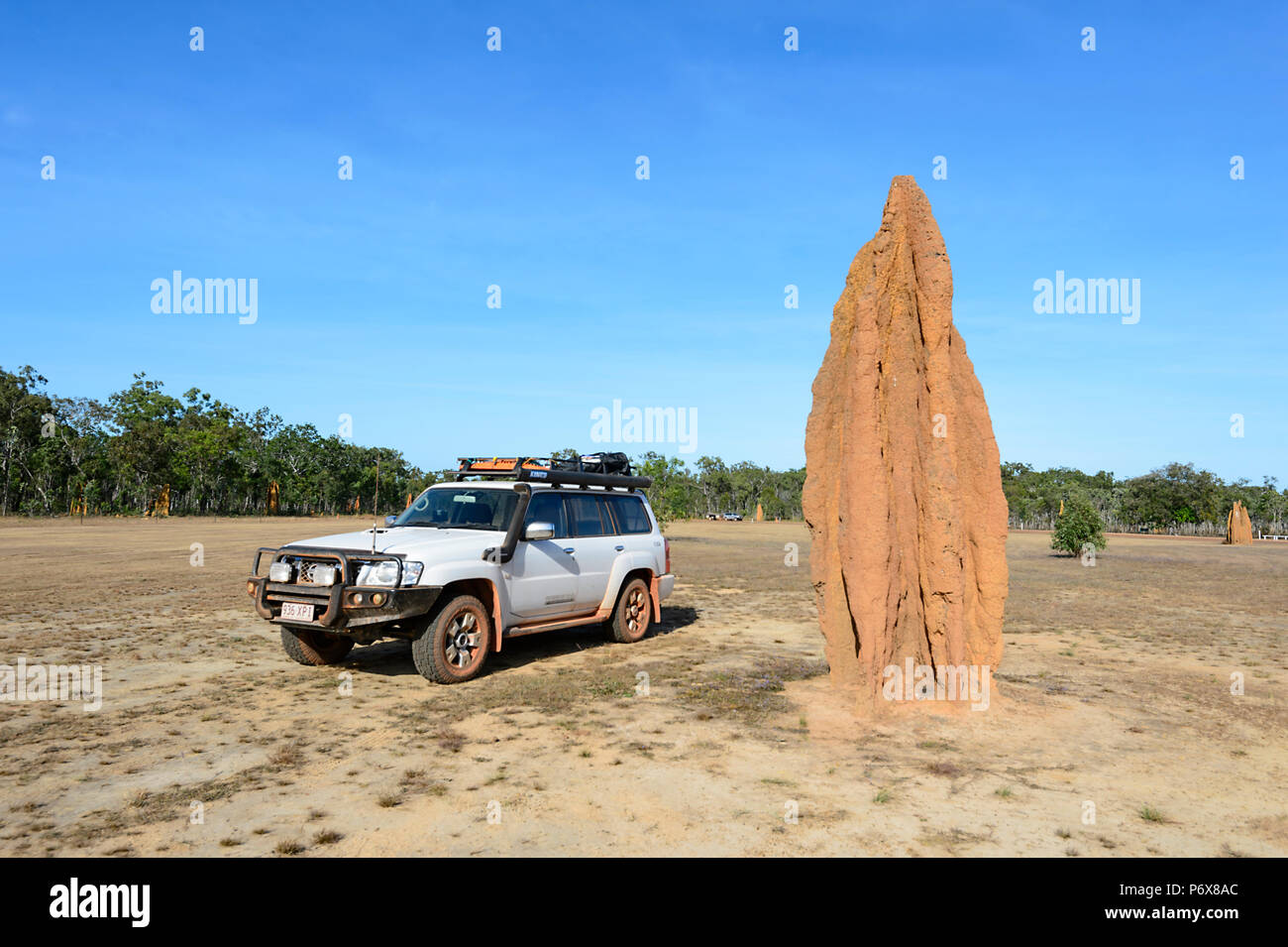 4x4 Nissan Patrol stehen neben einem riesigen Termitenhügel Damm an Bramwell Junction, Cape York Halbinsel, Far North Queensland, FNQ, QLD, Australien Stockfoto