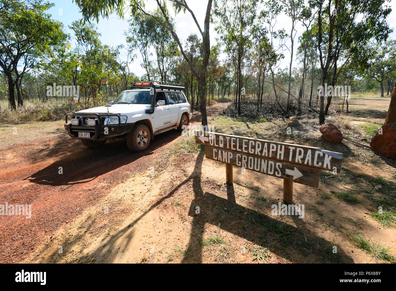 4x4 Nissan Patrol fahren Die alten Telegraph Track oder OTT, Cape York Halbinsel, Far North Queensland, FNQ, QLD, Australien Stockfoto