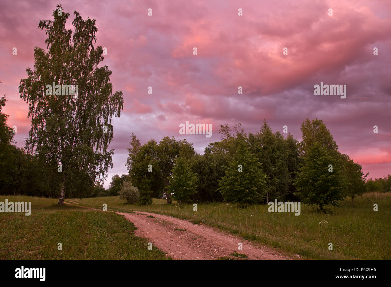 Mittsommernacht in Lettland Stockfoto
