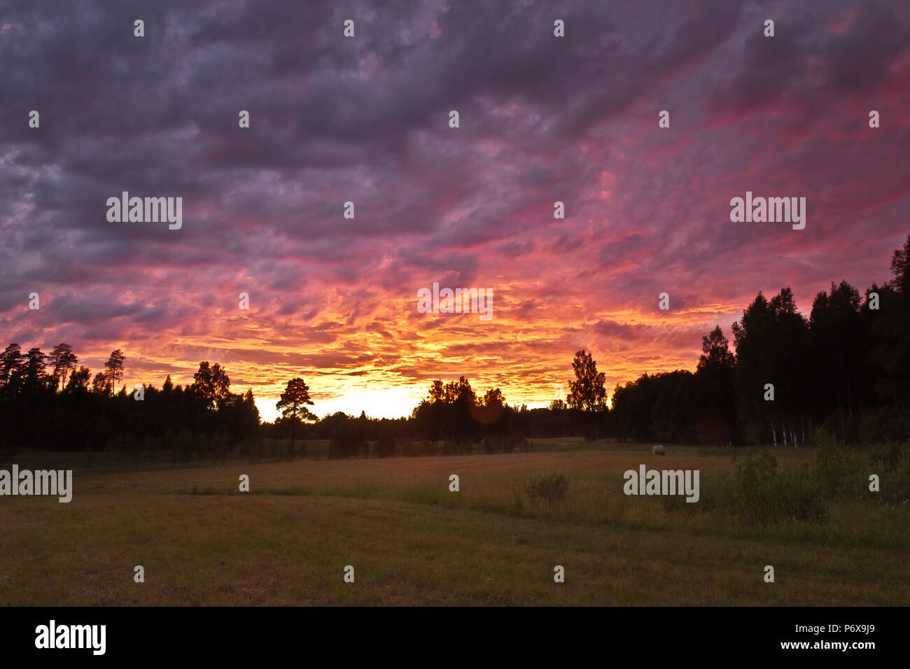 Mittsommernacht in Lettland Stockfoto