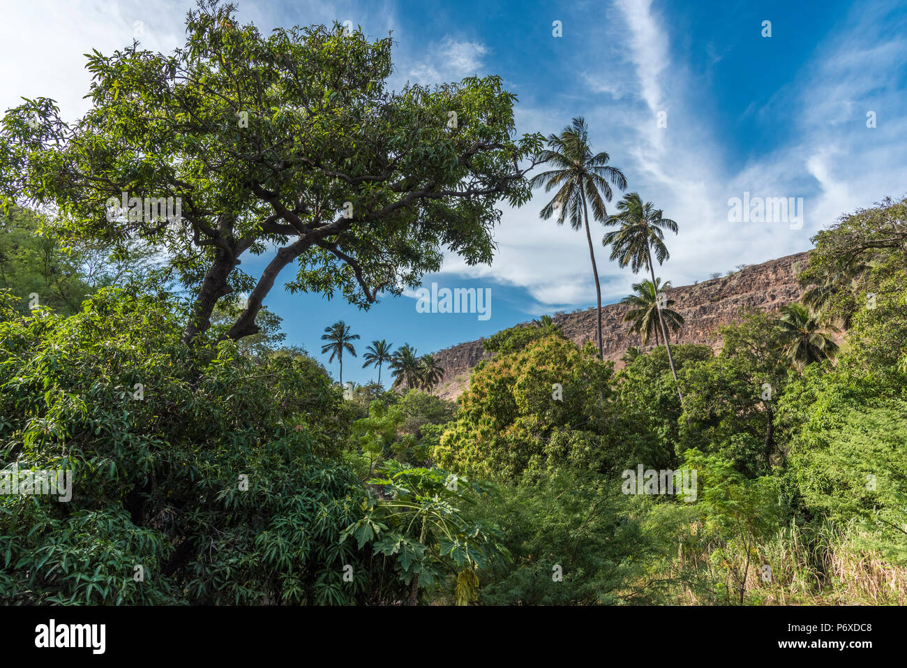 Afrika, Kapverden, Insel Santiago. Wandern im Tal in Richtung Cidade Velha. Stockfoto