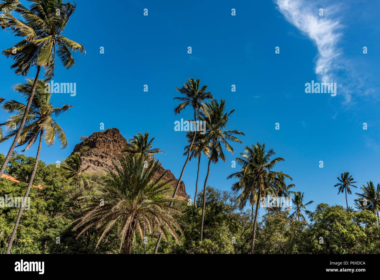 Afrika, Kapverden, Insel Santiago. Wandern im Tal in Richtung Cidade Velha. Stockfoto