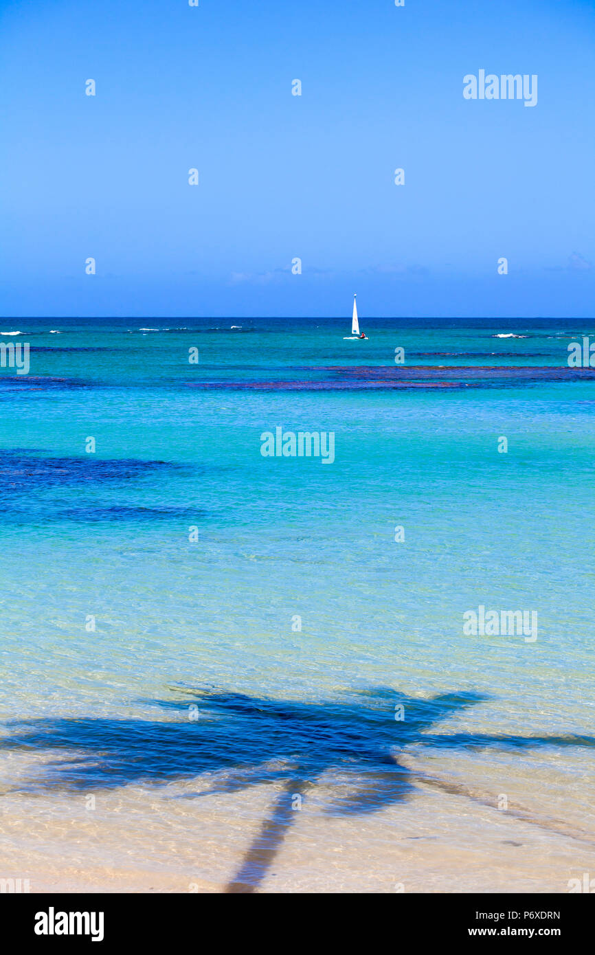 Dominikanische Republik, Halbinsel Samana, Las Terrenas, Schatten der Palme auf El Portillo Beach Stockfoto