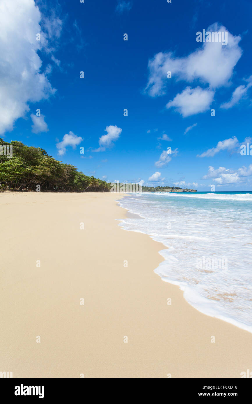 Dominikanische Republik, Rio San Juan, Playa Grande Stockfoto