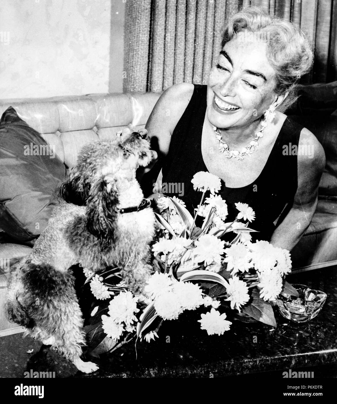 Joan Crawford mit ihrem Hund, New York, 1959 Stockfoto