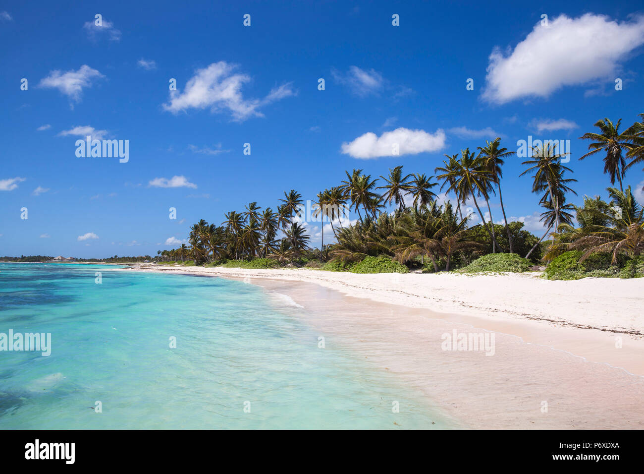 Dominikanische Republik, Punta Cana, Playa Blanca Stockfoto
