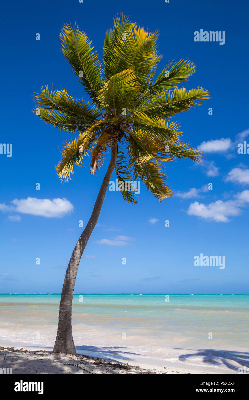Dominikanische Republik, Punta Cana, Punta Cana Strand Stockfoto