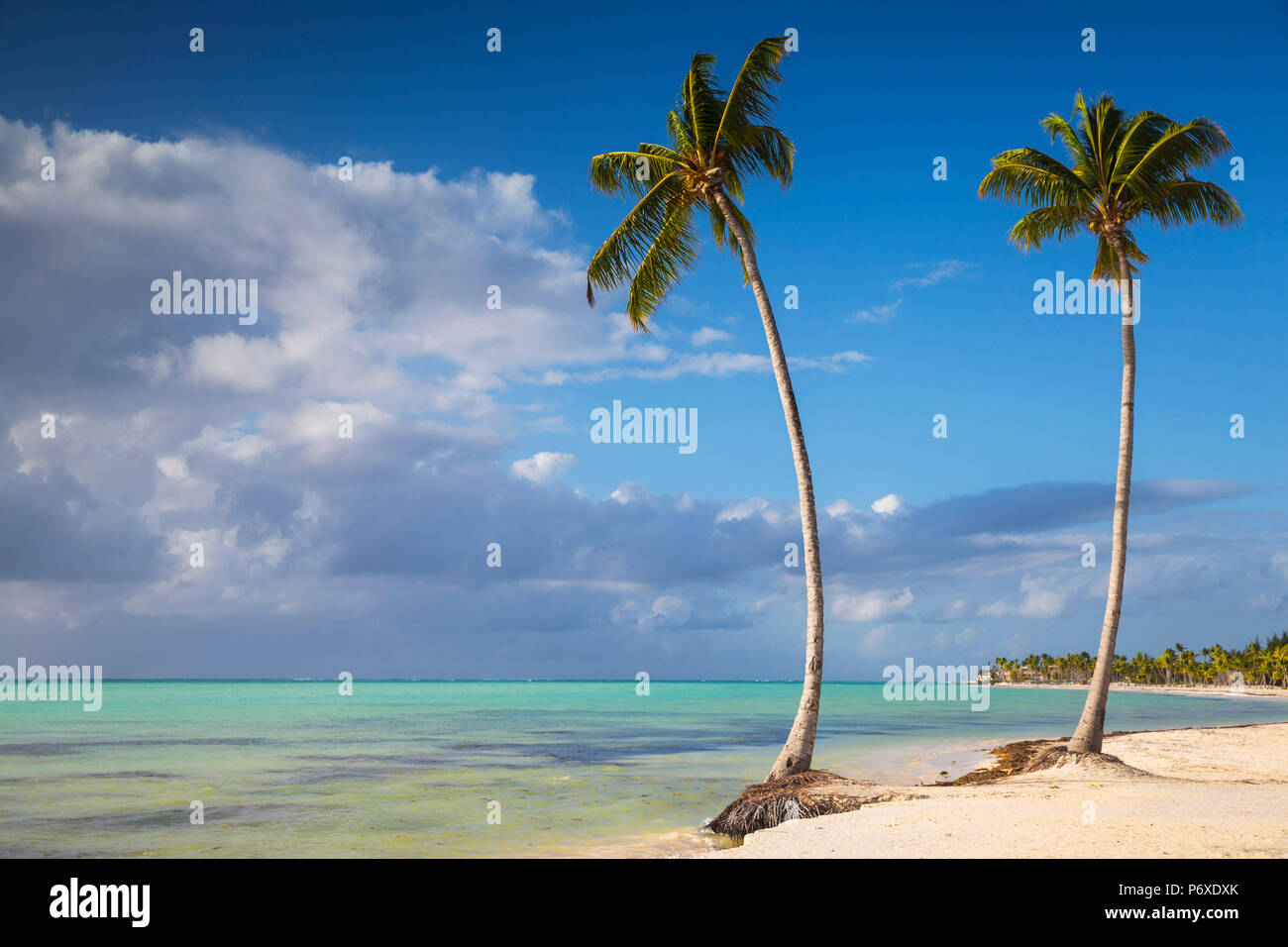 Dominikanische Republik, Punta Cana, Punta Cana und Juanillo Beach Stockfoto